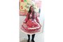 Festa Junina IHS 2017